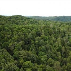 Photo of 15.67 Acres of Residential and Hunting Land For Sale in Pulaski County VA!