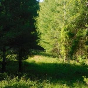 Photo of 15.67 Acres of Residential and Hunting Land For Sale in Pulaski County VA!