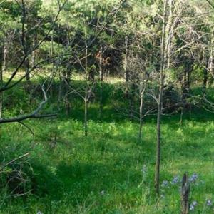 Photo of 15.67 Acres of Residential and Hunting Land For Sale in Pulaski County VA!