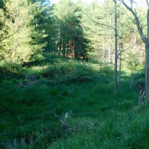 Photo of 15.67 Acres of Residential and Hunting Land For Sale in Pulaski County VA!