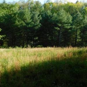 Photo of 15.67 Acres of Residential and Hunting Land For Sale in Pulaski County VA!