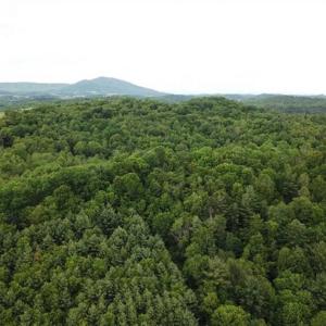 Photo of 15.67 Acres of Residential and Hunting Land For Sale in Pulaski County VA!