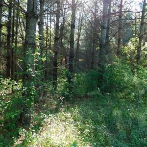 Photo of 15.67 Acres of Residential and Hunting Land For Sale in Pulaski County VA!