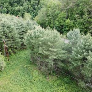 Photo of 15.67 Acres of Residential and Hunting Land For Sale in Pulaski County VA!