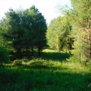 Photo of 15.67 Acres of Residential and Hunting Land For Sale in Pulaski County VA!