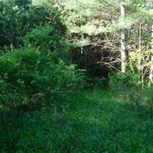 Photo of 15.67 Acres of Residential and Hunting Land For Sale in Pulaski County VA!