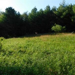 Photo of 15.67 Acres of Residential and Hunting Land For Sale in Pulaski County VA!