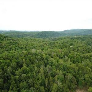 Photo of 15.67 Acres of Residential and Hunting Land For Sale in Pulaski County VA!