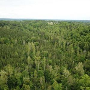 Photo of 35 Acres of Hunting and Residential Land For Sale in Henry County VA!
