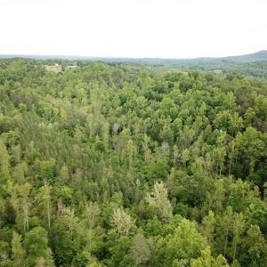 Photo of 35 Acres of Hunting and Residential Land For Sale in Henry County VA!