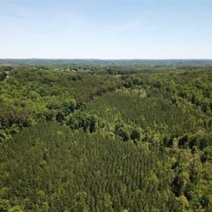 Photo of 35 Acres of Hunting and Residential Land For Sale in Henry County VA!