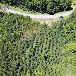 Photo of 35 Acres of Hunting and Residential Land For Sale in Henry County VA!
