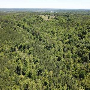 Photo of 35 Acres of Hunting and Residential Land For Sale in Henry County VA!