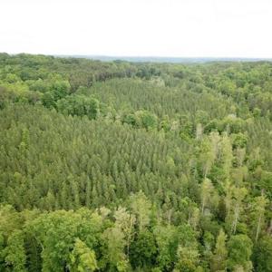 Photo of 35 Acres of Hunting and Residential Land For Sale in Henry County VA!
