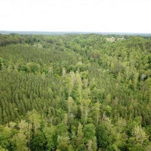 Photo of 35 Acres of Hunting and Residential Land For Sale in Henry County VA!