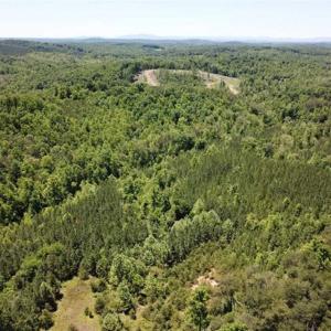 Photo of 35 Acres of Hunting and Residential Land For Sale in Henry County VA!