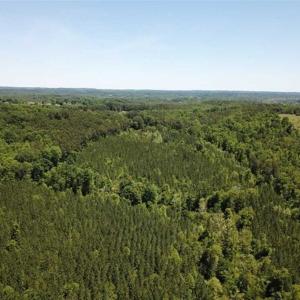 Photo of 35 Acres of Hunting and Residential Land For Sale in Henry County VA!