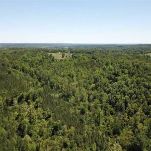 Photo of 35 Acres of Hunting and Residential Land For Sale in Henry County VA!