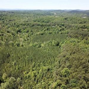 Photo of 35 Acres of Hunting and Residential Land For Sale in Henry County VA!