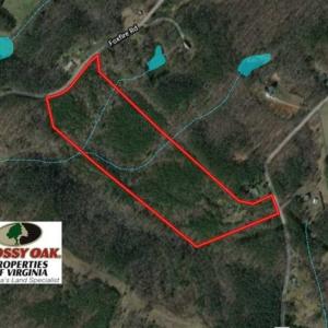 Photo of 35 Acres of Hunting and Residential Land For Sale in Henry County VA!