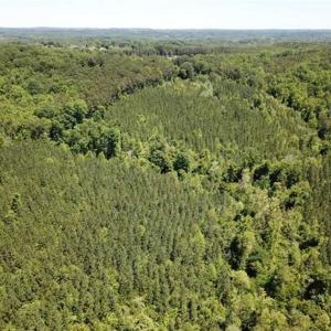 Photo of 35 Acres of Hunting and Residential Land For Sale in Henry County VA!
