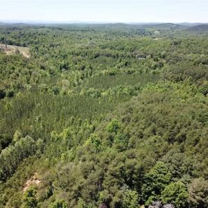 Photo of 35 Acres of Hunting and Residential Land For Sale in Henry County VA!
