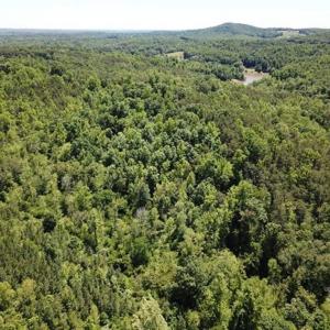 Photo of 35 Acres of Hunting and Residential Land For Sale in Henry County VA!