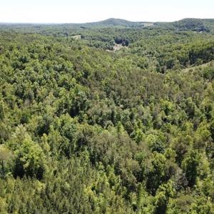 Photo of 35 Acres of Hunting and Residential Land For Sale in Henry County VA!