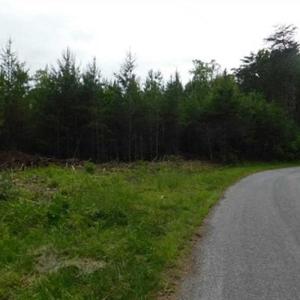 Photo of 35 Acres of Hunting and Residential Land For Sale in Henry County VA!