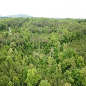 Photo of 35 Acres of Hunting and Residential Land For Sale in Henry County VA!