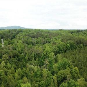 Photo of 35 Acres of Hunting and Residential Land For Sale in Henry County VA!