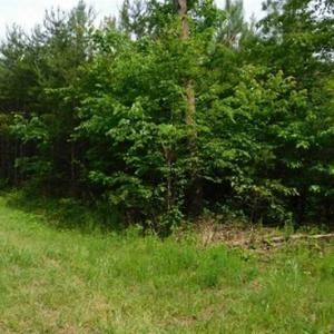 Photo of 35 Acres of Hunting and Residential Land For Sale in Henry County VA!