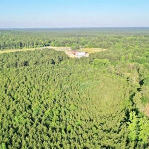 Photo of SOLD!!  11.89 Acres of Residential Hunting and Timber Land in Anson County NC!