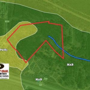 Photo of SOLD!!  11.89 Acres of Residential Hunting and Timber Land in Anson County NC!