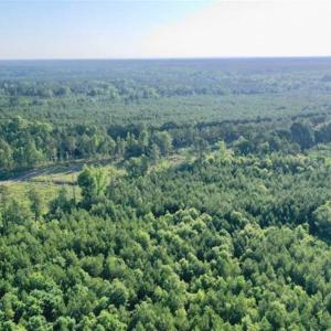 Photo of SOLD!!  11.89 Acres of Residential Hunting and Timber Land in Anson County NC!