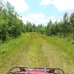 Photo of SOLD!!  197.24 Acres of Farm and Timber Land For Sale in Columbus County NC!