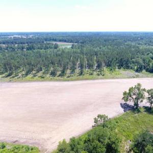 Photo of SOLD!!  197.24 Acres of Farm and Timber Land For Sale in Columbus County NC!