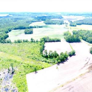 Photo of SOLD!!  197.24 Acres of Farm and Timber Land For Sale in Columbus County NC!