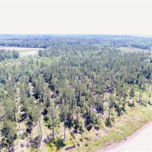 Photo of SOLD!!  197.24 Acres of Farm and Timber Land For Sale in Columbus County NC!