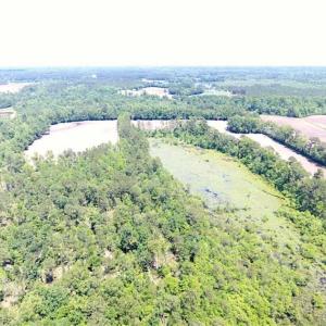 Photo of SOLD!!  197.24 Acres of Farm and Timber Land For Sale in Columbus County NC!