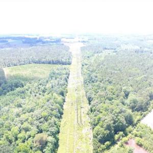 Photo of SOLD!!  197.24 Acres of Farm and Timber Land For Sale in Columbus County NC!