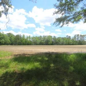 Photo of SOLD!!  197.24 Acres of Farm and Timber Land For Sale in Columbus County NC!