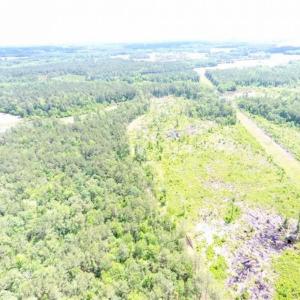 Photo of SOLD!!  197.24 Acres of Farm and Timber Land For Sale in Columbus County NC!