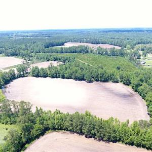 Photo of SOLD!!  197.24 Acres of Farm and Timber Land For Sale in Columbus County NC!