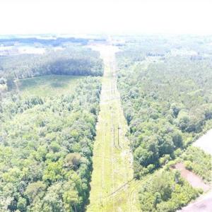 Photo of SOLD!!  197.24 Acres of Farm and Timber Land For Sale in Columbus County NC!