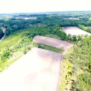 Photo of SOLD!!  197.24 Acres of Farm and Timber Land For Sale in Columbus County NC!