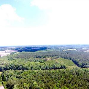 Photo of SOLD!!  197.24 Acres of Farm and Timber Land For Sale in Columbus County NC!
