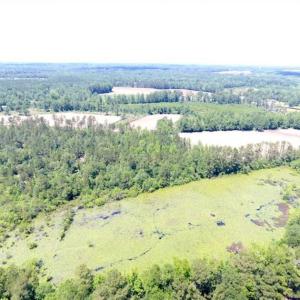 Photo of SOLD!!  197.24 Acres of Farm and Timber Land For Sale in Columbus County NC!