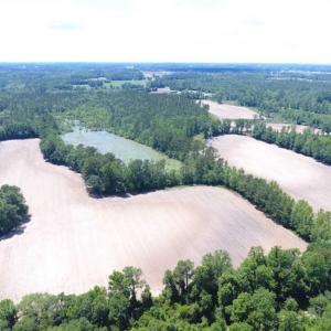 Photo of SOLD!!  197.24 Acres of Farm and Timber Land For Sale in Columbus County NC!
