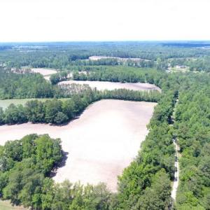 Photo of SOLD!!  197.24 Acres of Farm and Timber Land For Sale in Columbus County NC!